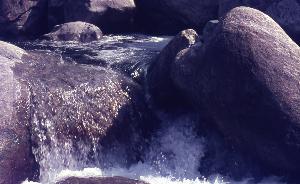 SC_AFRLSER_SER-s5010-0003424_IMG-0000006931