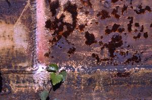 SC_AFRLSER_SER-s5010-0003434_IMG-0000006941