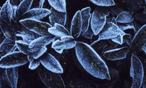 SC_AFRLSER_SER-s5010-0003435_IMG-0000006942