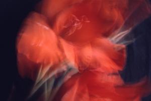 SC_AFRLSER_SER-s5010-0003449_IMG-0000007024