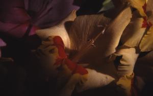 SC_AFRLSER_SER-s5010-0003476_IMG-0000007066