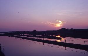 SC_AFRLSER_SER-s5010-0003478_IMG-0000007068