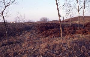 SC_AFRLSER_SER-s5010-0003506_IMG-0000007096