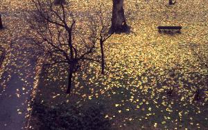 SC_AFRLSER_SER-s5010-0003514_IMG-0000007104