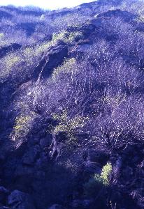 SC_AFRLSER_SER-s5010-0003515_IMG-0000007105