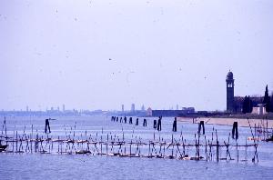 SC_AFRLSER_SER-s5010-0003978_IMG-0000008114