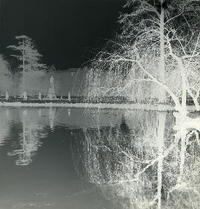 SC_AFRLSER_SER-s5010-0004489_IMG-0000008905