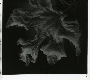 SC_AFRLSER_SER-s5010-0004756_IMG-0000009270