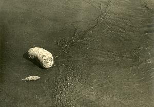 SC_AFRLSER_SER-s5010-0006695_IMG-0000010559
