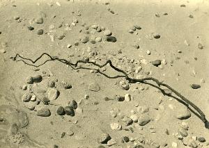 SC_AFRLSER_SER-s5010-0006701_IMG-0000010565