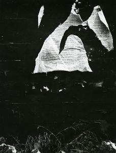 SC_AFRLSER_SER-s5010-0006740_IMG-0000010596