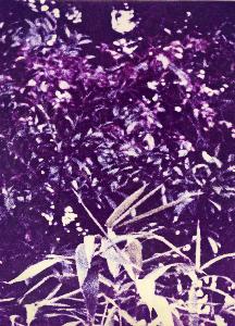 SC_AFRLSER_SER-s5010-0007027_IMG-0000010787