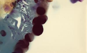SC_AFRLSER_SER-s5010-0007028_IMG-0000010788