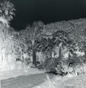 SC_AFRLSER_SER-s5010-0007148_IMG-0000010907