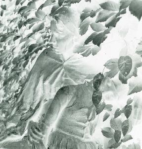 SC_AFRLSER_SER-s5010-0007157_IMG-0000010916