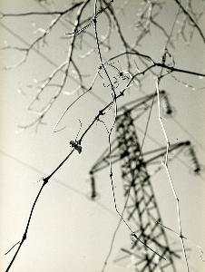 SC_AFRLSER_SER-s5010-0007584_IMG-0000014842