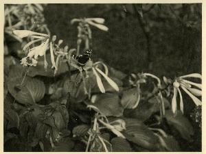 SC_AFRLSER_SER-s5010-0008464_IMG-0000015714