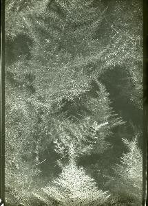 SC_AFRLSER_SER-s5010-0008807_IMG-0000016051