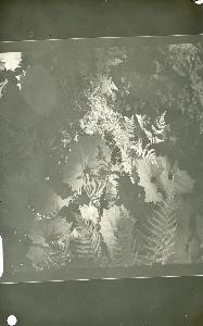 SC_AFRLSER_SER-s5010-0008830_IMG-0000016074