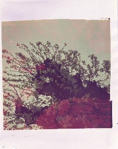 SC_AFRLSER_SER-s5010-0009256_IMG-0000016495