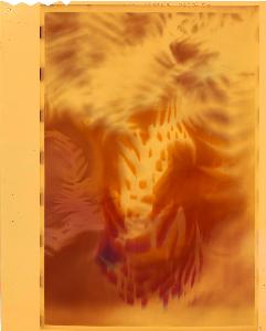 SC_AFRLSER_SER-s5010-0009354_IMG-0000016591
