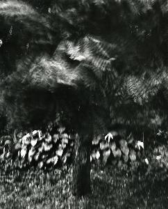 SC_AFRLSER_SER-s5010-0009426_IMG-0000016655