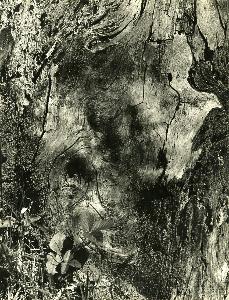 SC_AFRLSER_SER-s5010-0009429_IMG-0000016658