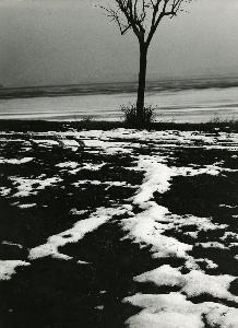 SC_AFRLSER_SER-s5010-0009501_IMG-0000016728