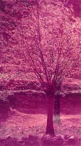 SC_AFRLSER_SER-s5010-0009747_IMG-0000016865