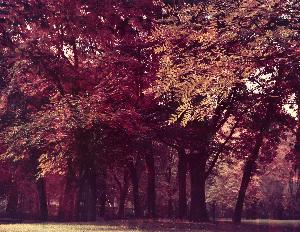 SC_AFRLSER_SER-s5010-0009750_IMG-0000016868