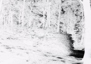 SC_AFRLSER_SER-s5020-0000039_IMG-0000000054