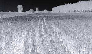 SC_AFRLSER_SER-s5020-0000119_IMG-0000000171