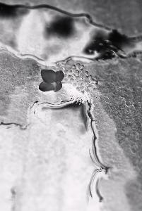 SC_AFRLSER_SER-s5020-0000147_IMG-0000000220