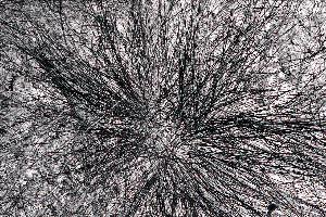 SC_AFRLSER_SER-s5020-0000191_IMG-0000000264