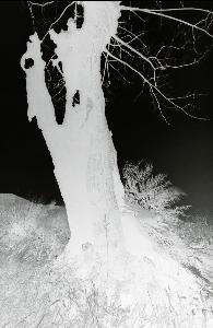 SC_AFRLSER_SER-s5020-0000193_IMG-0000000266