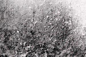 SC_AFRLSER_SER-s5020-0000228_IMG-0000000361