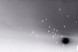 SC_AFRLSER_SER-s5020-0000344_IMG-0000000547