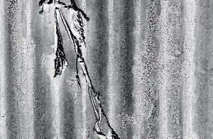 SC_AFRLSER_SER-s5020-0000388_IMG-0000000590