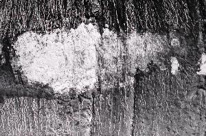 SC_AFRLSER_SER-s5020-0000438_IMG-0000000673