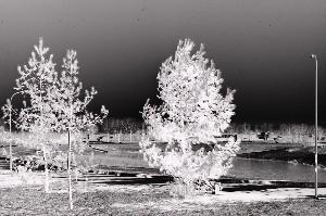 SC_AFRLSER_SER-s5020-0000635_IMG-0000000900