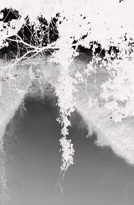 SC_AFRLSER_SER-s5020-0000686_IMG-0000000998