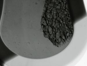 SC_AFRLSER_SER-s5020-0000780_IMG-0000001124