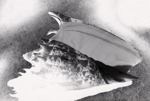 SC_AFRLSER_SER-s5020-0000791_IMG-0000001149