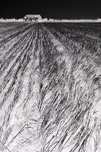 SC_AFRLSER_SER-s5020-0000827_IMG-0000001249