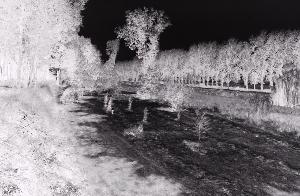 SC_AFRLSER_SER-s5020-0000834_IMG-0000001262