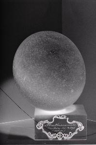 SC_AFRLSER_SER-s5020-0000871_IMG-0000001370