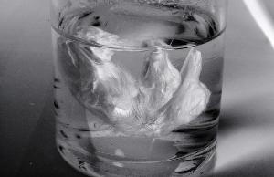 SC_AFRLSER_SER-s5020-0000875_IMG-0000001376