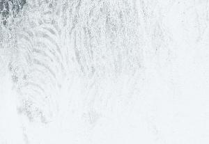 SC_AFRLSER_SER-s5020-0000935_IMG-0000001463