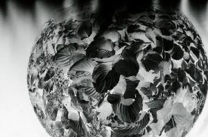 SC_AFRLSER_SER-s5020-0001006_IMG-0000001532