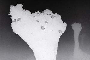 SC_AFRLSER_SER-s5020-0001013_IMG-0000001555